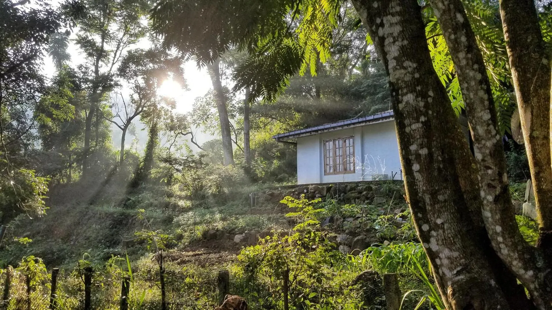 Jungle Tide Bed & Breakfast Kandy