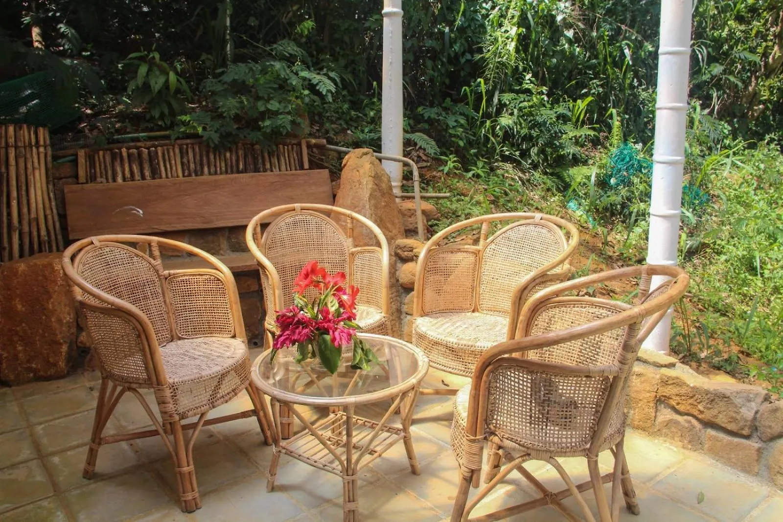 Jungle Tide Bed & Breakfast Kandy