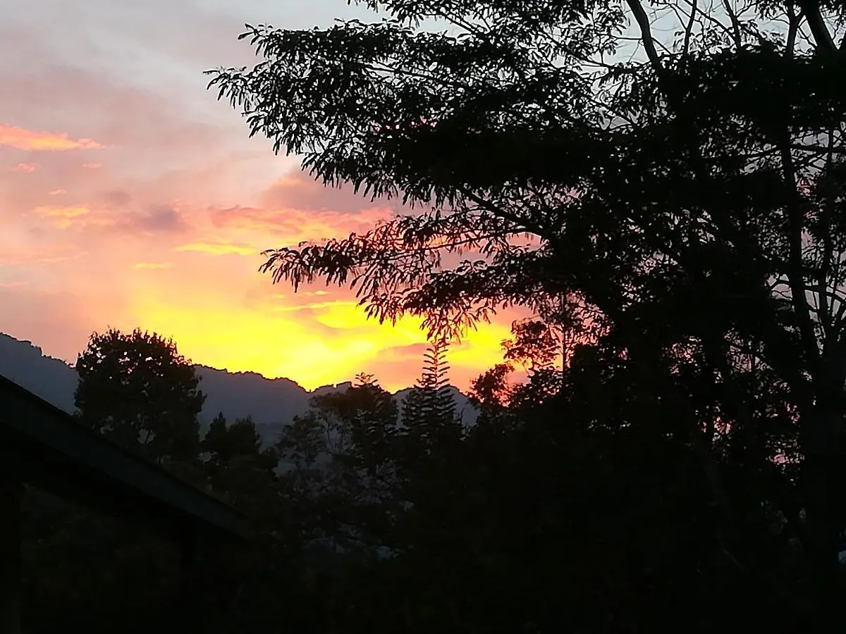 Jungle Tide Bed & Breakfast Kandy Sri Lanka